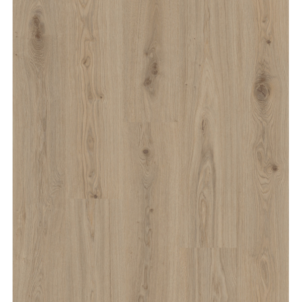 Виниловая плитка Tarkett Delicate Oak Natural 280007014